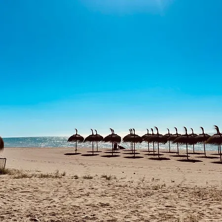Torrevida 80 Metros De La Playa Y Piscina Abierta דירה