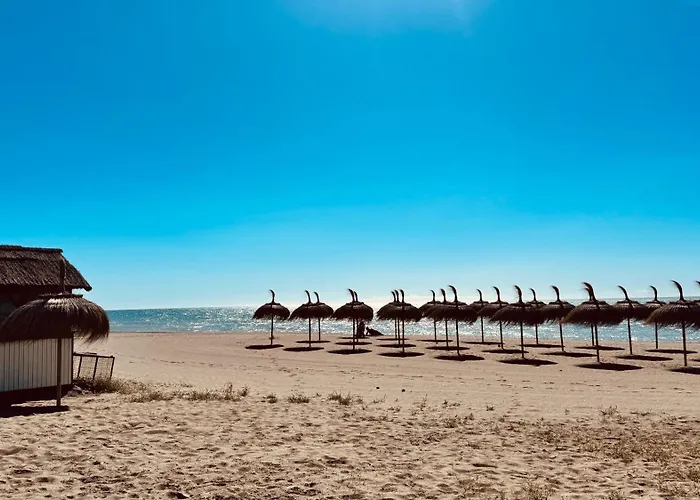 Torrevida 80 Metros De La Playa Y Piscina Abierta דירה